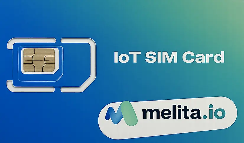 EasyM2M Lifetime IoT SIM by melita.io